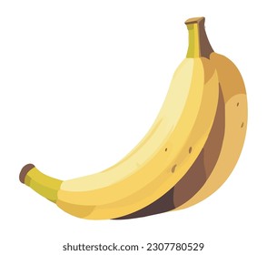 Fresh ripe banana, a healthy snack from nature isolated