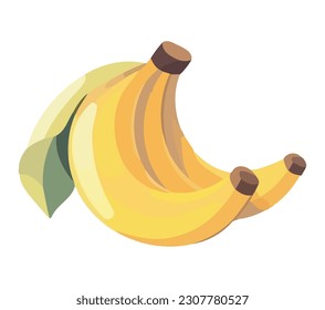 Fresh ripe banana for vegetarian summer dieting isolated