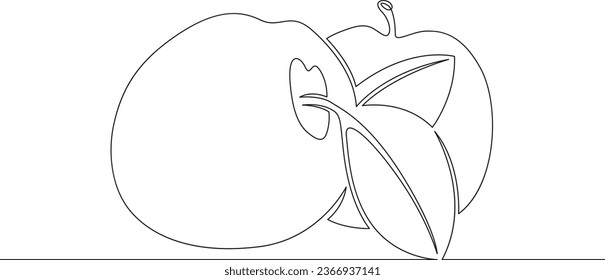 Fresh ripe beautiful apples. New harvest. One continuous line. Linear. Hand drawn, white background.