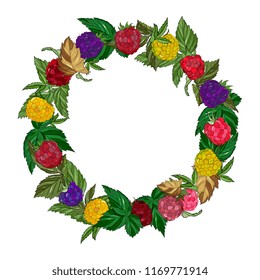 fresh ripe berries of a color raspberry in the form of a wreath, a round frame. Healthy food. Raspberry, cloudberry, blackberries.