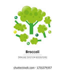 Fresh ripe broccoli vector flat illustration with lettering. Set of sliced vegetables hand drawn in cartoon doodle style, half or whole. Healty detox food. Immune system booster. Immunity boost