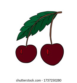 Frischreife Kirschbeeren auf weißem Hintergrund Vektorgrafik.