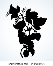 Fresh ripe curl lush lupulus cluster group. Dark ink hand drawn logo emblem pictogram in art retro contour print style on paper space for text. Closeup view on light sky backdrop