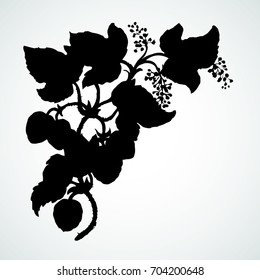 Fresh ripe curl lush lupulus cluster group. Dark ink hand drawn logo in art retro contour print style. Closeup view with space for text on light sky backdrop