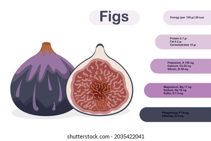 Fresh ripe delicious juicy figs whole and halved. Infographics. Vector illustration