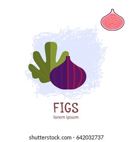 Fresh and ripe fig vector illustration. Conveniently grouped and easily editable