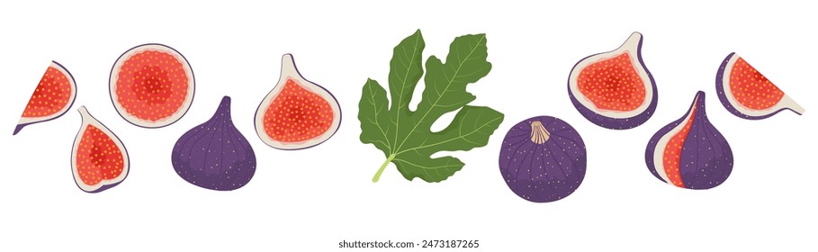 Fresh ripe Figs fruit and slices set. Vector illustration in flat style isolated on a white background