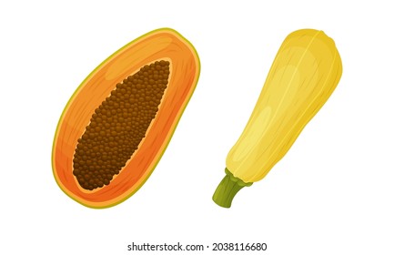 Frische, reife Obst- und Gemüsezubereitungen. Papaya und Zucchini-Cartoon für vegetarisches Essen, Vektorgrafik