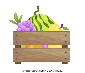 Fresh ripe fruits in wooden box vector flat illustration. Natural eco friendly seasonal tropical vitamin edible plants isolated. Watermelon, grape, orange, apple in container pack for storage carrying