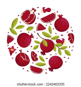 Fresh ripe garnet fruit of circular shape. Organic fresh juicy pomegranate poster, card, banner cartoon vector