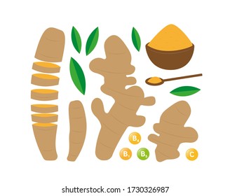 Fresh ripe ginger vector flat illustration. Set of sliced fruits hand drawn in cartoon style, half or whole, with seeds. Healty detox food. Immune system booster. Immunity boost