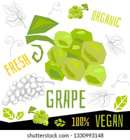 Fresh ripe grape grapes fruits organic vegan food vector hand drawn illustrations