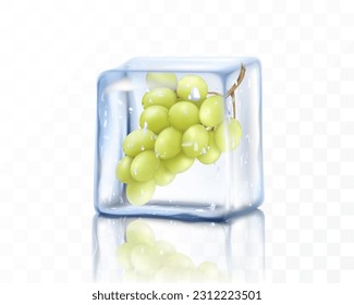 Fresh ripe grape in ice cube isolated on transparent background. Frozen bunch of green grapes, realistic 3d vector illustration
