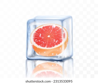 Fresh ripe grapefruit half in ice cube isolated on transparent background. Frozen juicy grapefruit, realistic 3d vector illustration