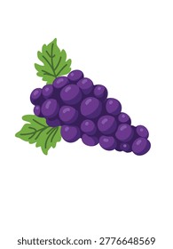 Fresh ripe grapes cluster fruit graphic design clean white backdrop