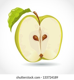 Fresh ripe green apple vector illustration isolated on white