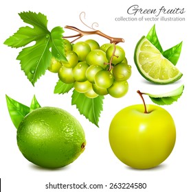 Fresh and ripe green fruits. Collection of vector illustration