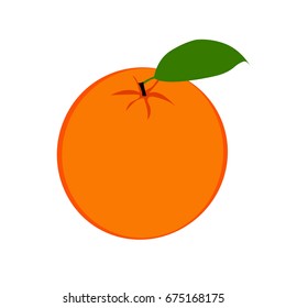 Fresh ripe half oranges with leaves. Vector illustration