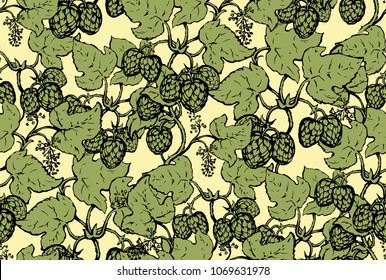 Fresh ripe hops cluster group on white backdrop. Freehand line black ink hand drawn design sketchy in art retro doodle cartoon graphic style pen on paper.