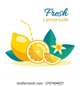 Fresh ripe lemon vector flat illustration. Set of sliced fruits in cartoon style, half or whole, with seeds. Healty detox food. Immune system booster boost. Smoothies