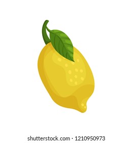 Fresh ripe lemon vector Illustration on a white background