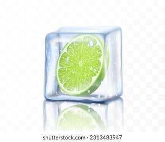 Fresh ripe lime slice in ice cube isolated on transparent background. Frozen piece of lime. Realistic 3d vector illustration