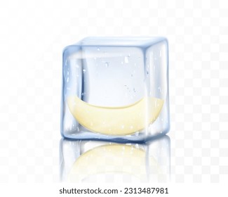 Fresh ripe melon half in ice cube isolated on transparent background. Frozen piece of melon, realistic 3d vector illustration