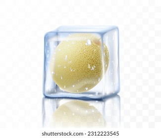 Frische reife Melone ganz in Eiswürfeln einzeln auf transparentem Hintergrund. Melone, gefroren, realistische 3D-Vektorgrafik