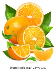 Fresh ripe oranges with green leaves and water drops. Vector illustration for your design. Packing orange juicy.