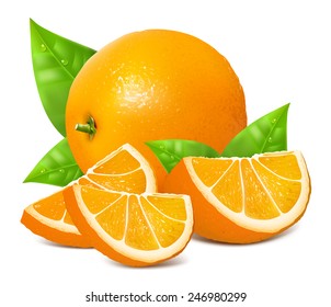 Fresh ripe oranges with leaves. Vector illustration.