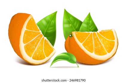 Fresh ripe oranges with leaves. Vector illustration.