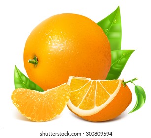 Fresh ripe oranges with leaves. Vector illustration.