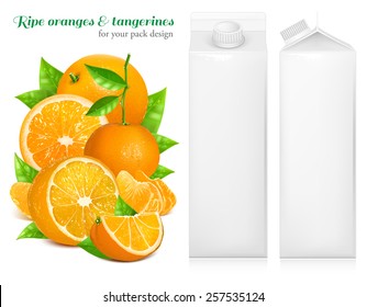 Fresh ripe oranges and tangerines with green leaves. Juice white carton package. Vector illustration