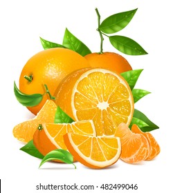 Fresh ripe oranges and tangerines with leaves. Fully editable handmade mesh. Vector illustration.