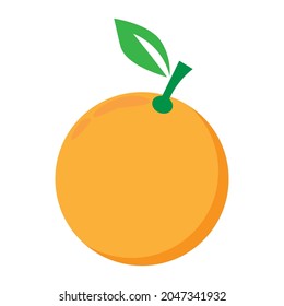 fresh ripe oranges are yellow. vector illustration
