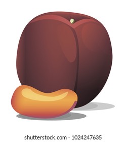 Fresh ripe peach on white