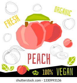 Fresh ripe peach peaches fruits organic vegan food vector hand drawn illustrations