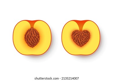 Fresh ripe peaches cut open and with normal pit and pit shaped like heart symbol. Concept of healthy food, vegetarian dieting