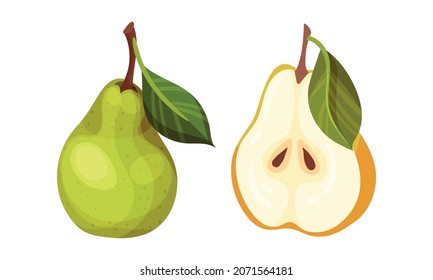 Fresh ripe pear set. Whole and cut in half organic fruit vector illustration