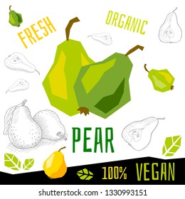 Fresh ripe pear slice pears fruits organic vegan food vector hand drawn illustrations