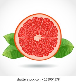 Fresh ripe piece of grapefruit vector illustration isolated on white