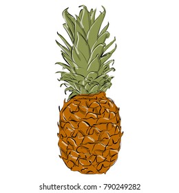 Fresh ripe pineapple isolated on white white background.