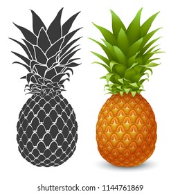 Fresh ripe Pineapple. Realistic and graphic vector illustration. Isolated on white background.