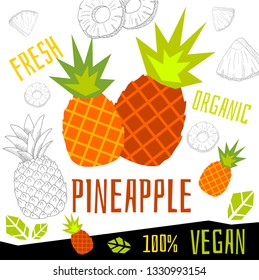 Fresh ripe pineapple slice tropical fruits organic vegan food vector hand drawn illustrations