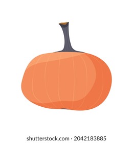 Fresh ripe pumpkin flat icon on white background vector illustration