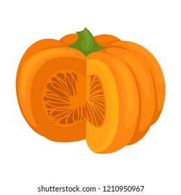 Fresh ripe pumpkin vector Illustration on a white background