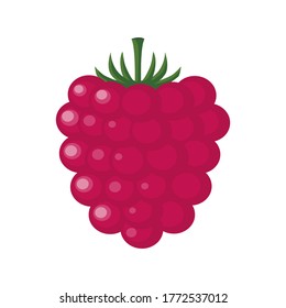 Fresh ripe raspberry on a white background. Tasty sweet fruit icon. Dessert. Red raspberries isolated close up. Forest berry. Can be used as emblem, logo, web print, sticker. Vector illustration.