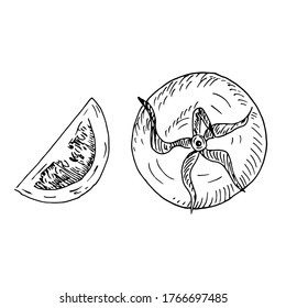 Verduras de tomate crudo y frescas a trozo aisladas en fondo blanco. Ilustración de esbozo dibujada a mano del vector en el contorno del doodle. Concepto de alimentos cortados, rebanados, ensalada, ketchup, cocina