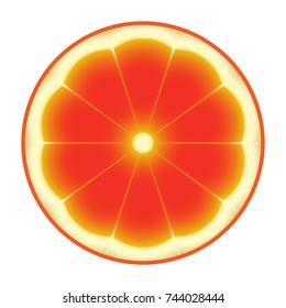 Fresh ripe slice grapefruit icon. Grapefruit slice isolated sign on white background. Vector illustration