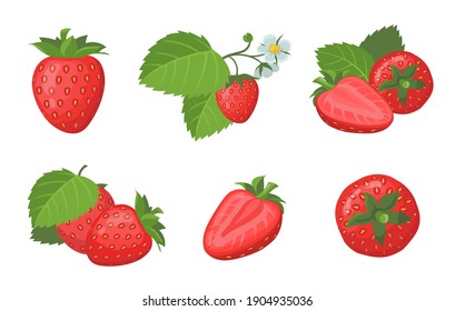 Fresh Ripe Strawberry Set. Whole And Sliced Juicy Red Summer Berries With Leaves Isolated On White. Vector Illustration For Organic Food, Fruit, Farm Market, Natural Product Concept